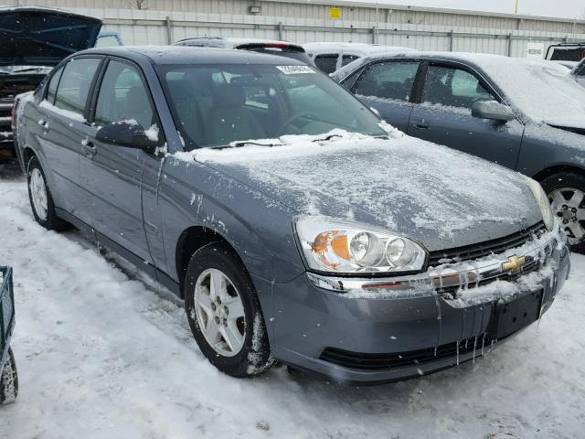 1G1ZT52864F109542 - 2004 CHEVROLET MALIBU LS BLUE photo 1