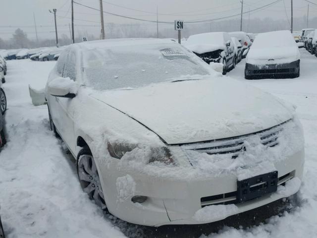 1HGCP36828A084448 - 2008 HONDA ACCORD EXL WHITE photo 1