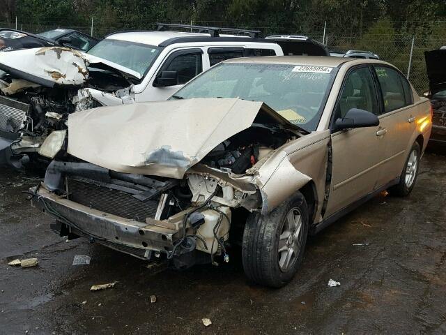1G1ZT52814F143744 - 2004 CHEVROLET MALIBU LS GOLD photo 2