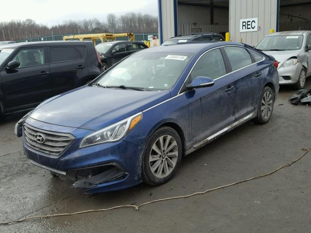 5NPE34AF9FH086587 - 2015 HYUNDAI SONATA SPO BLUE photo 2