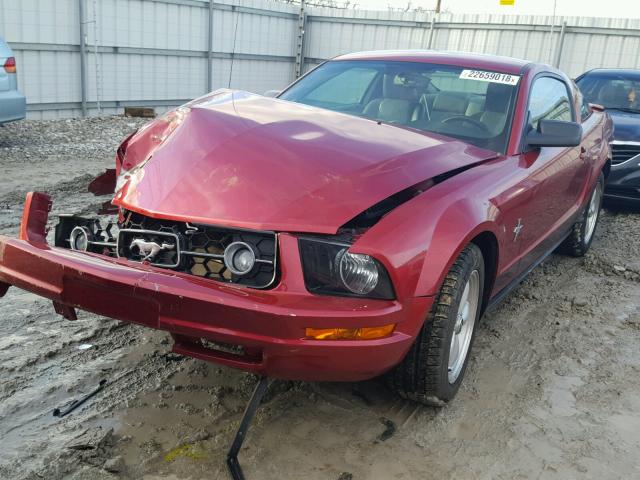 1ZVFT80N575357633 - 2007 FORD MUSTANG RED photo 2