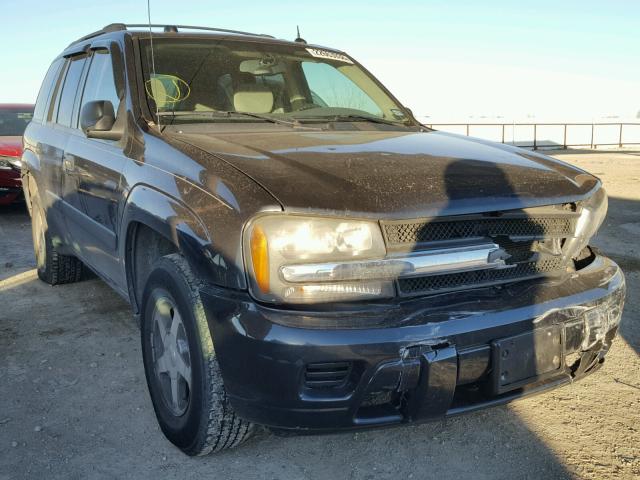 1GNDT13S052258324 - 2005 CHEVROLET TRAILBLAZE GRAY photo 1