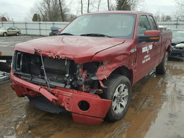 1FTFX1CF5DFB23954 - 2013 FORD F150 SUPER RED photo 2