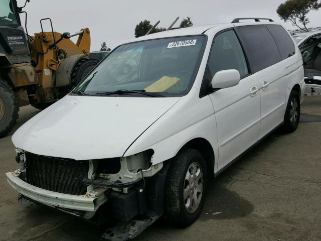 5FNRL18063B145655 - 2003 HONDA ODYSSEY EX WHITE photo 2