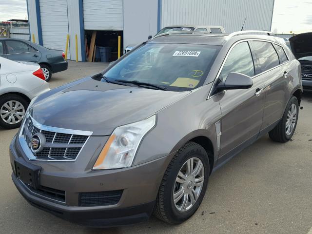 3GYFNAEY5BS567584 - 2011 CADILLAC SRX LUXURY BROWN photo 2