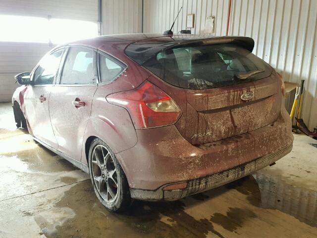 1FADP3K28DL168198 - 2013 FORD FOCUS SE MAROON photo 3