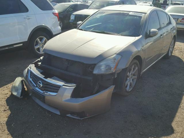 1N4BA41E07C822738 - 2007 NISSAN MAXIMA SE TAN photo 2