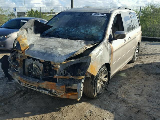 5FNRL38826B006595 - 2006 HONDA ODYSSEY TO BEIGE photo 2