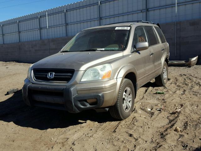 2HKYF18425H513761 - 2005 HONDA PILOT EX GOLD photo 2