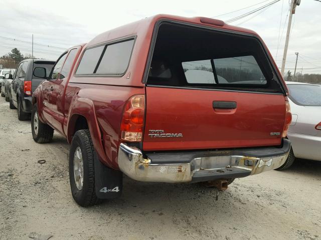 5TEUX42N65Z010343 - 2005 TOYOTA TACOMA ACC RED photo 3