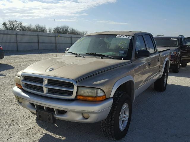 1B7HG48N82S640017 - 2002 DODGE DAKOTA QUA GOLD photo 2