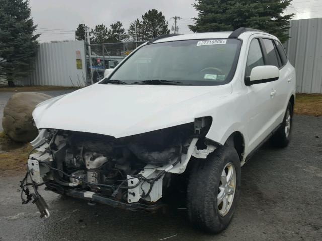 5NMSG13D98H219639 - 2008 HYUNDAI SANTA FE G WHITE photo 2