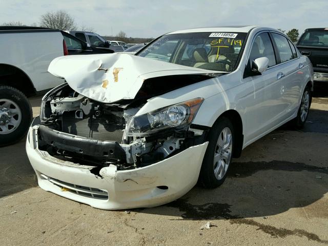 1HGCP36889A017984 - 2009 HONDA ACCORD EXL WHITE photo 2