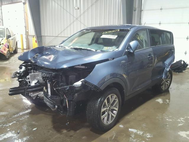 KNDPBCAC7G7864466 - 2016 KIA SPORTAGE L BLUE photo 2