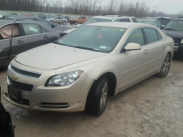 1G1ZC5E15BF268970 - 2011 CHEVROLET MALIBU 1LT 金色 照片 2