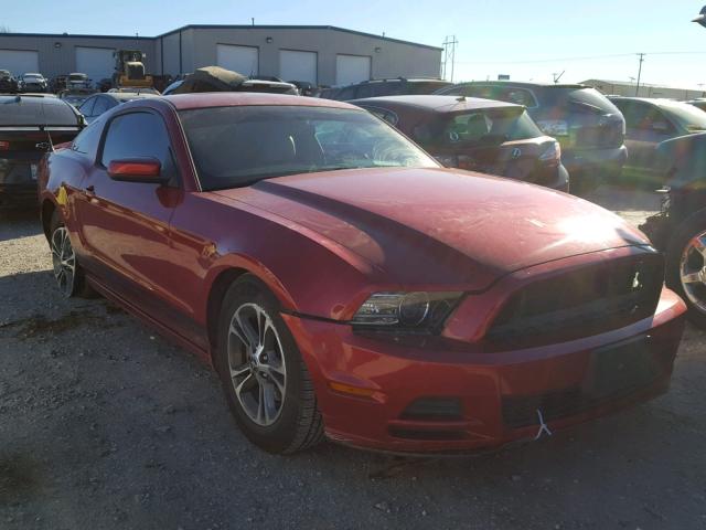 1ZVBP8AM4D5242073 - 2013 FORD MUSTANG RED photo 1
