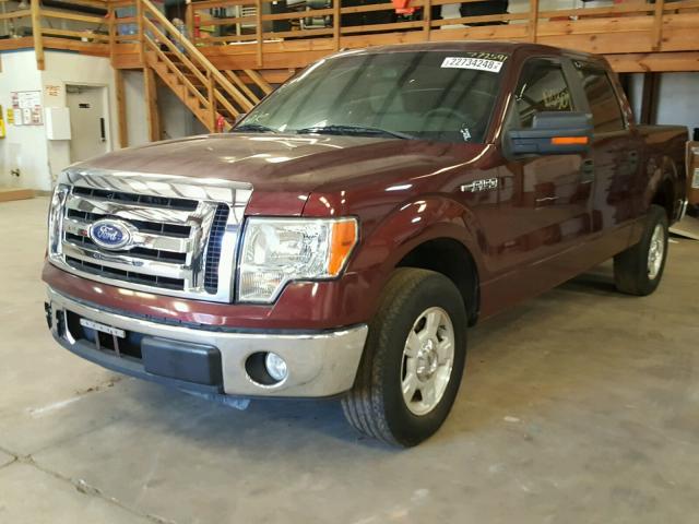 1FTEW1C80AFC43172 - 2010 FORD F150 SUPER MAROON photo 2