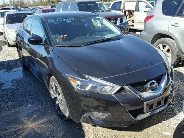 1N4AA6AP3HC376336 - 2017 NISSAN MAXIMA 3.5 BLACK photo 1