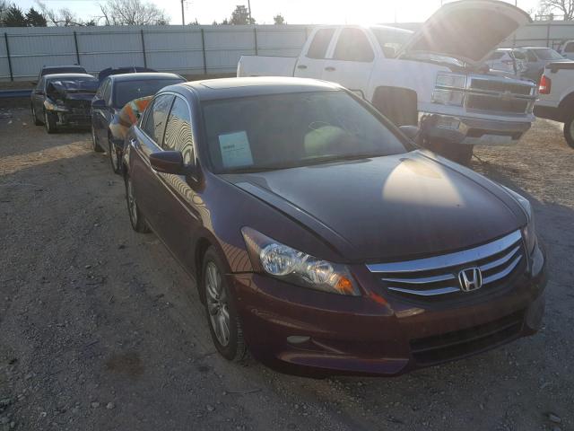 1HGCP3F84BA025764 - 2011 HONDA ACCORD EXL BURGUNDY photo 1