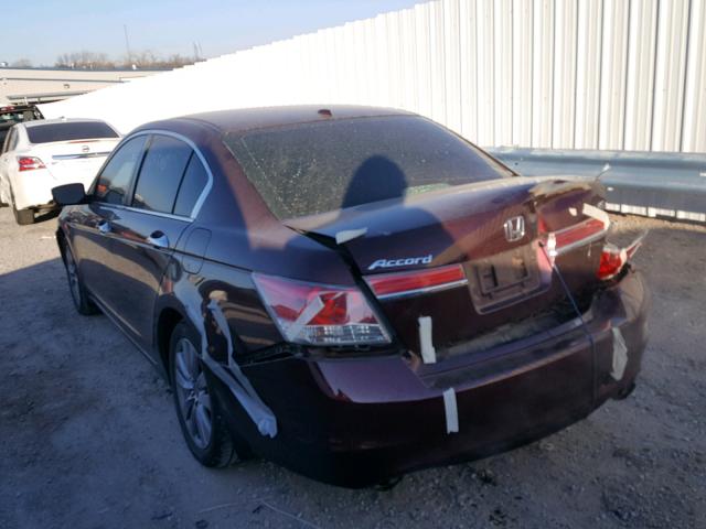 1HGCP3F84BA025764 - 2011 HONDA ACCORD EXL BURGUNDY photo 3