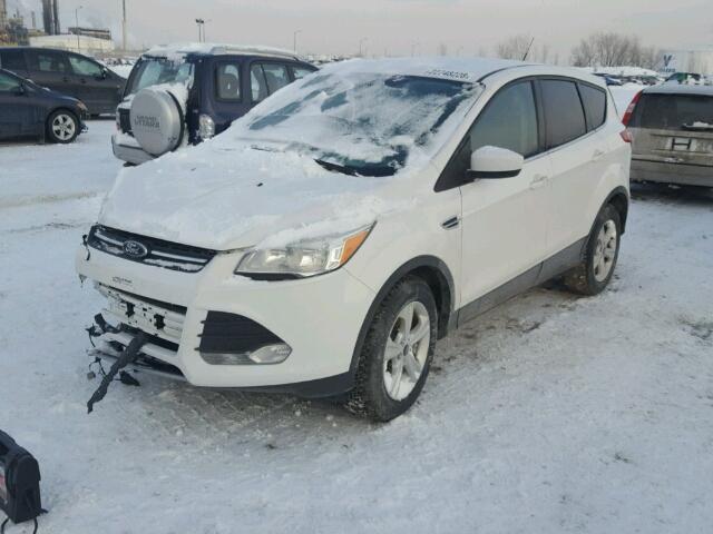 1FMCU9GX0EUB86708 - 2014 FORD ESCAPE SE WHITE photo 2