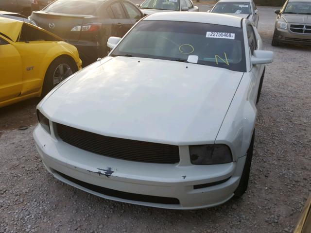 1ZVFT80N055157692 - 2005 FORD MUSTANG WHITE photo 2