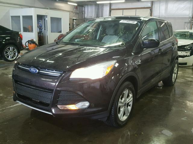 1FMCU9G97DUC80021 - 2013 FORD ESCAPE SE BLACK photo 2