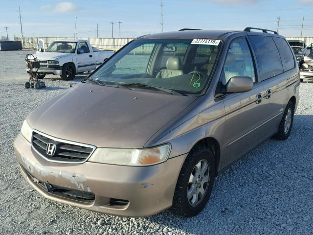 5FNRL180X3B124243 - 2003 HONDA ODYSSEY EX GOLD photo 2