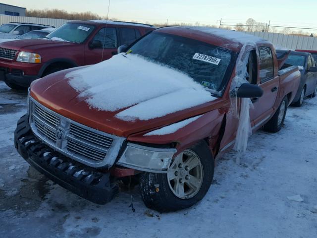 1D7HW58N38S528670 - 2008 DODGE DAKOTA QUA ORANGE photo 2