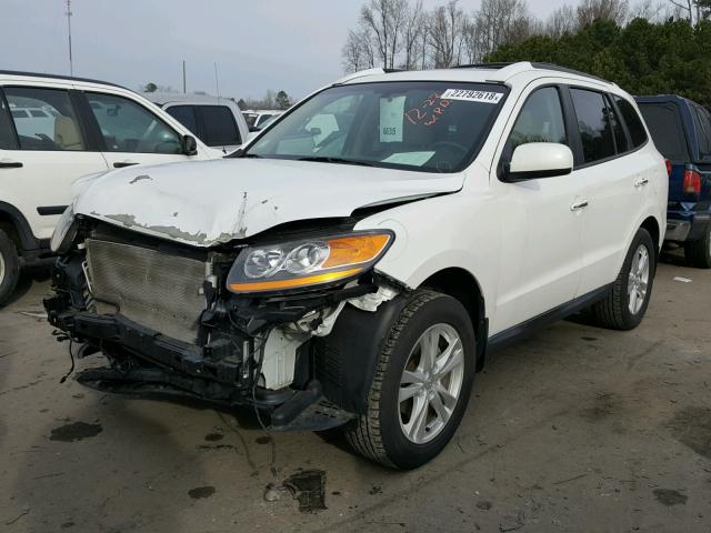 5XYZK3AB5BG086454 - 2011 HYUNDAI SANTA FE L WHITE photo 2