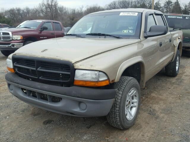 1B7HG48N72S559588 - 2002 DODGE DAKOTA QUA GOLD photo 2