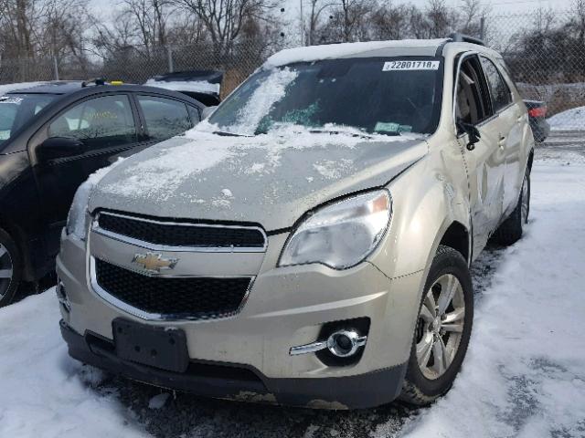 2GNFLNEK9D6310838 - 2013 CHEVROLET EQUINOX LT GOLD photo 2