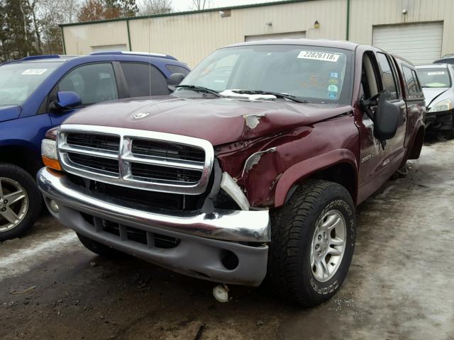 1B7HG48NX2S559648 - 2002 DODGE DAKOTA QUA GREEN photo 2