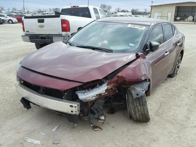 1N4AA6AP3HC408587 - 2017 NISSAN MAXIMA 3.5 MAROON photo 2