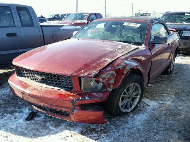 1ZVFT84N255203954 - 2005 FORD MUSTANG RED photo 2