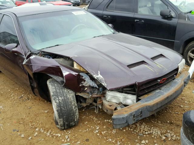 1G1BL52P2TR113593 - 1996 CHEVROLET IMPALA 紫色 照片 9