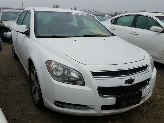 1G1ZC5E14BF220666 - 2011 CHEVROLET MALIBU 1LT 白色 照片 1