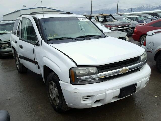 1GNDT13S552230034 - 2005 CHEVROLET TRAILBLAZE WHITE photo 1