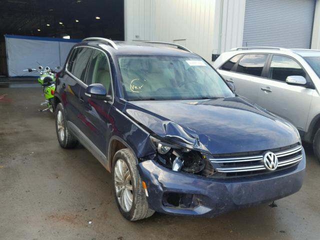 WVGAV7AXXDW556700 - 2013 VOLKSWAGEN TIGUAN S BLUE photo 1