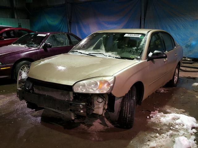 1G1ZT54875F230868 - 2005 CHEVROLET MALIBU LS ოქროსფერი ფოტო 2