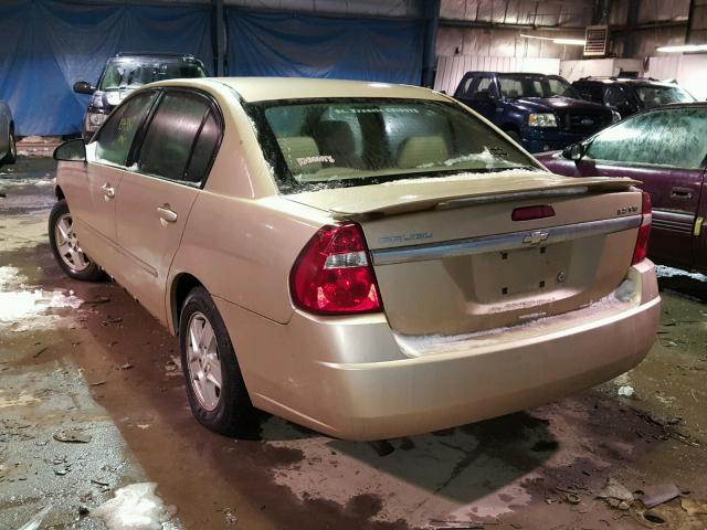 1G1ZT54875F230868 - 2005 CHEVROLET MALIBU LS ოქროსფერი ფოტო 3