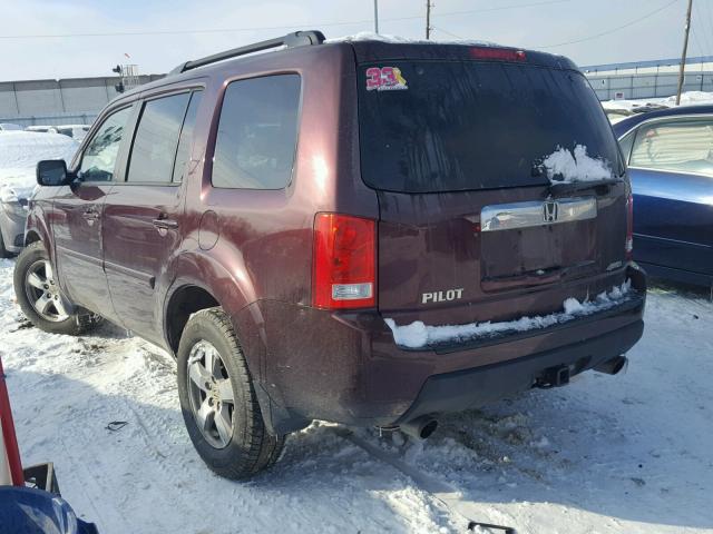 5FNYF4H50AB030949 - 2010 HONDA PILOT EXL BURGUNDY photo 3