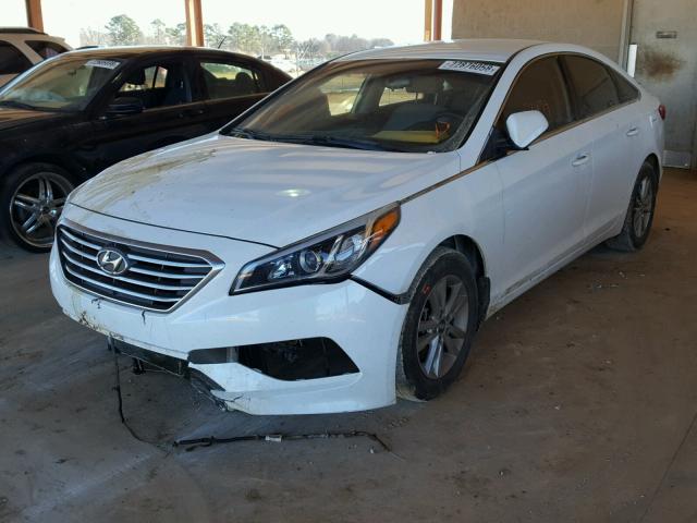 5NPE24AF5FH172725 - 2015 HYUNDAI SONATA SE WHITE photo 2