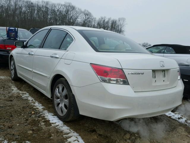 1HGCP36889A010534 - 2009 HONDA ACCORD EXL WHITE photo 3