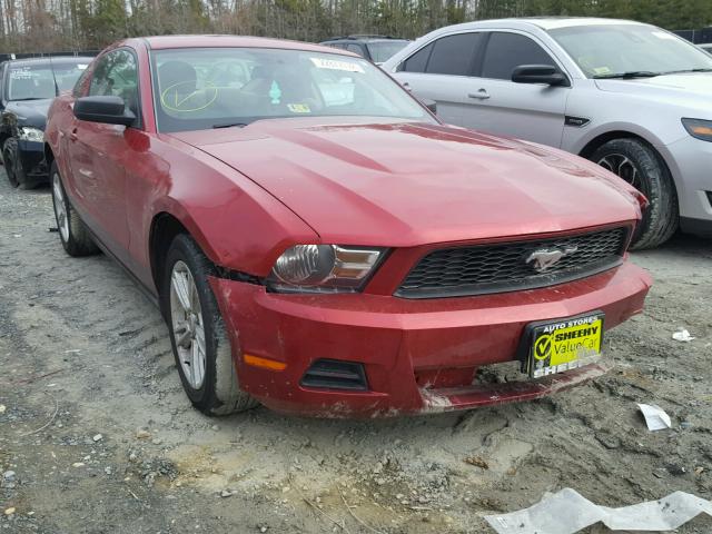 1ZVBP8AN2A5131106 - 2010 FORD MUSTANG RED photo 1