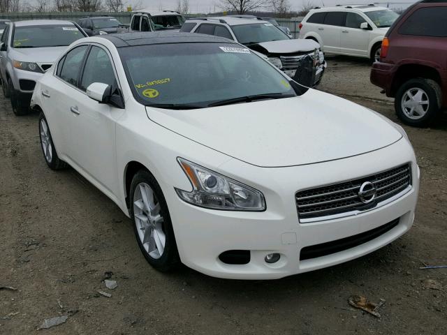 1N4AA5AP4BC813827 - 2011 NISSAN MAXIMA S WHITE photo 1