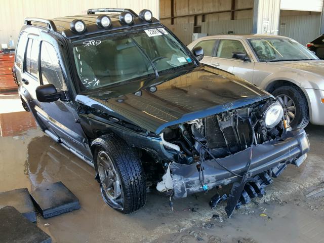 1J4GL38K95W605050 - 2005 JEEP LIBERTY RE GREEN photo 1