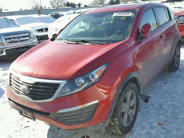 KNDPBCA20D7450836 - 2013 KIA SPORTAGE L RED photo 2