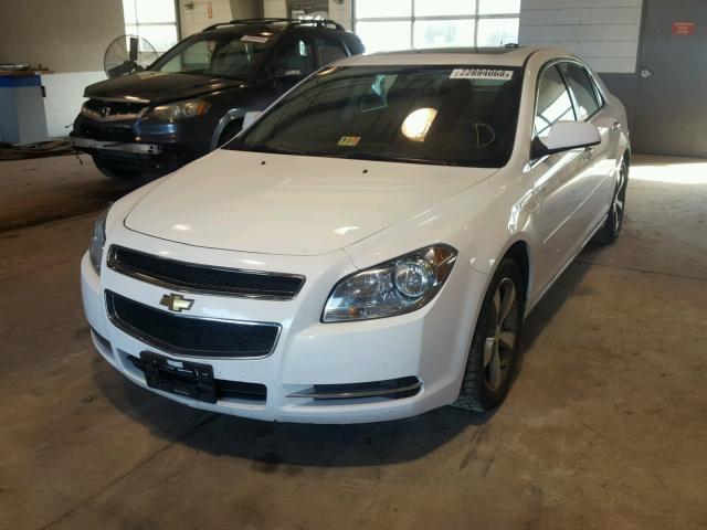 1G1ZC5E1XBF291144 - 2011 CHEVROLET MALIBU 1LT WHITE photo 2