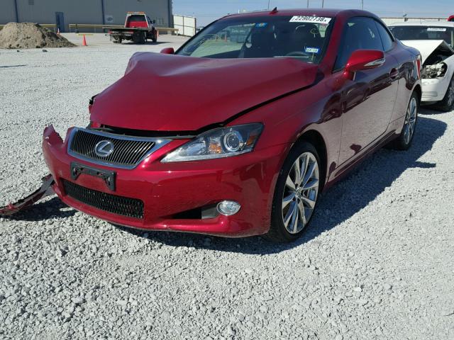 JTHFF2C21F2532659 - 2015 LEXUS IS 250 RED photo 2